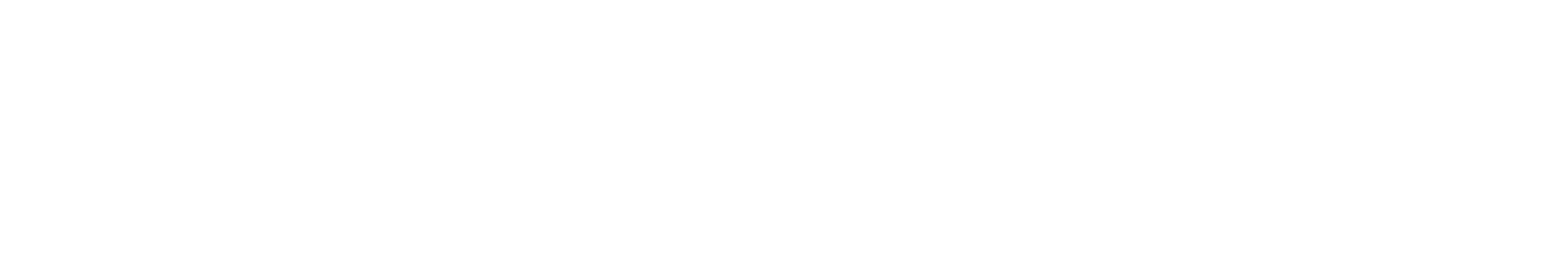 Bullbit